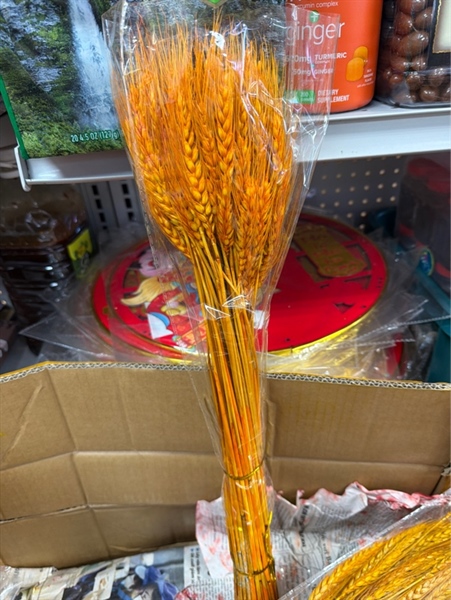 Bông Lúa (bó)