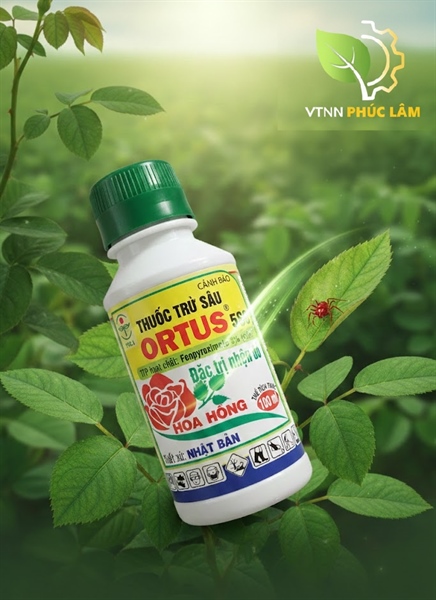 ORTUC 5SC 100ML