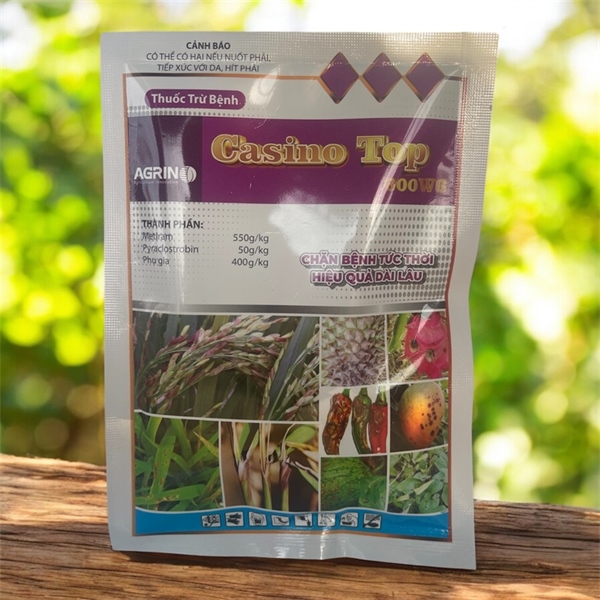 CASINO TOP 600WG (AGRINO)