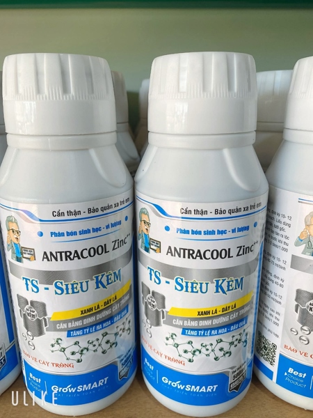 TS Siêu Kẽm 500ml