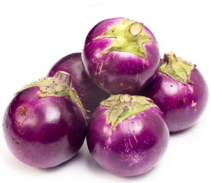 Hạt giống Cà Pháo Tím PN-125 (vỏ tím, ruột trắng, trái nặng 18-20gr) - 500 mg