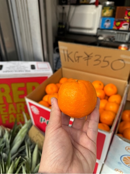 Quýt Úc cao cấp 1 kg (Premium Oranges)