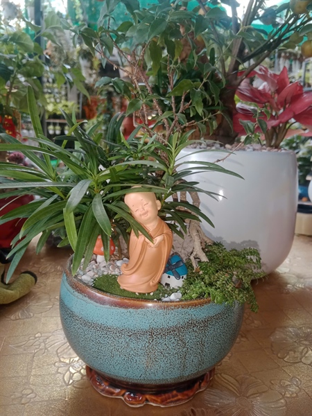 THÀNH PHẨM CHÚ TIỂU CHÂN MAI