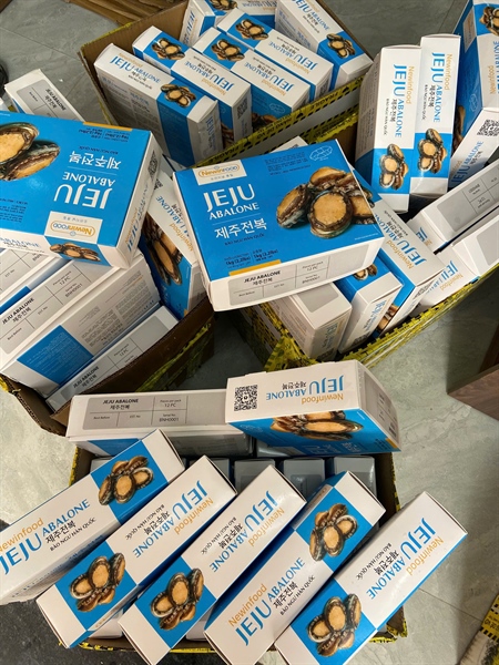 Bào ngư Hàn JEJU