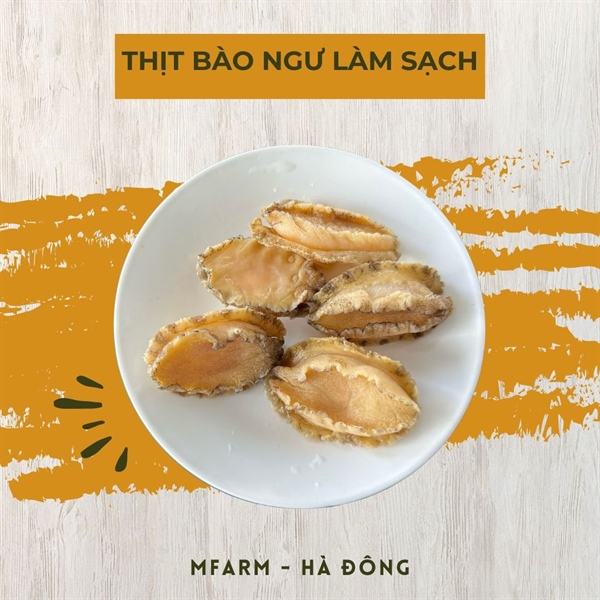 Bào ngư size 18 YF