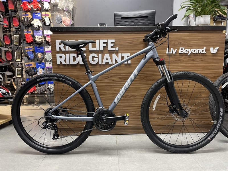 Giant ATX 810