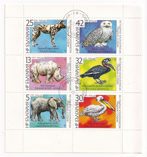 Tờ Tem Bưu Chính Bulgaria - Sở Thú Sofia | Bulgaria - Sofia Zoo 1988 (1) | Used/CTO