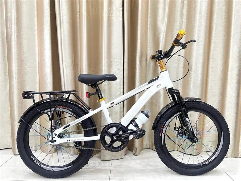 Xe đạp Riderplus 20
