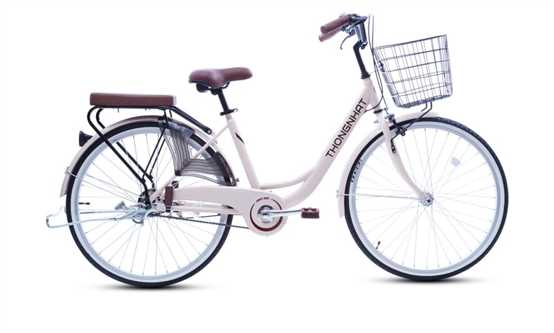 Xe đạp Thống Nhất LD26