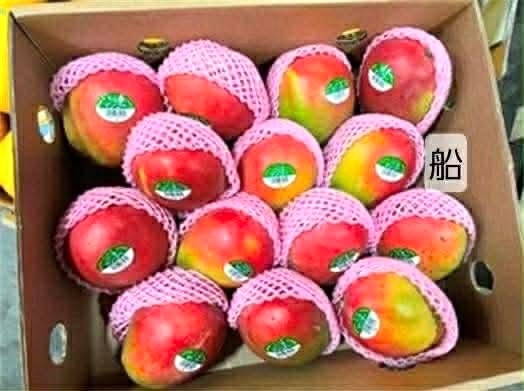Xoài chín Peru/ xoài đỏ CÂN KG