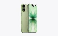 17 256 GREEN NEW