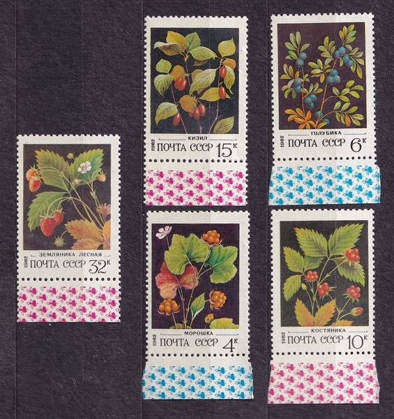 Bộ 5 Tem Bưu Chính Liên Xô - Dâu Dại | CCCP - Wild Berries 1982 (5) | Mint