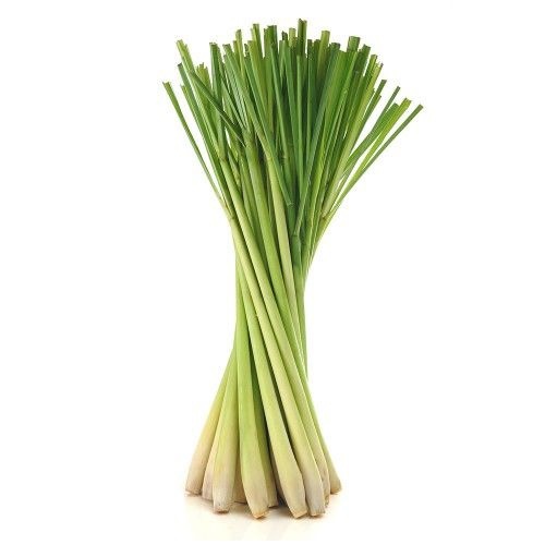 XẢ CÂY BÓ 200G