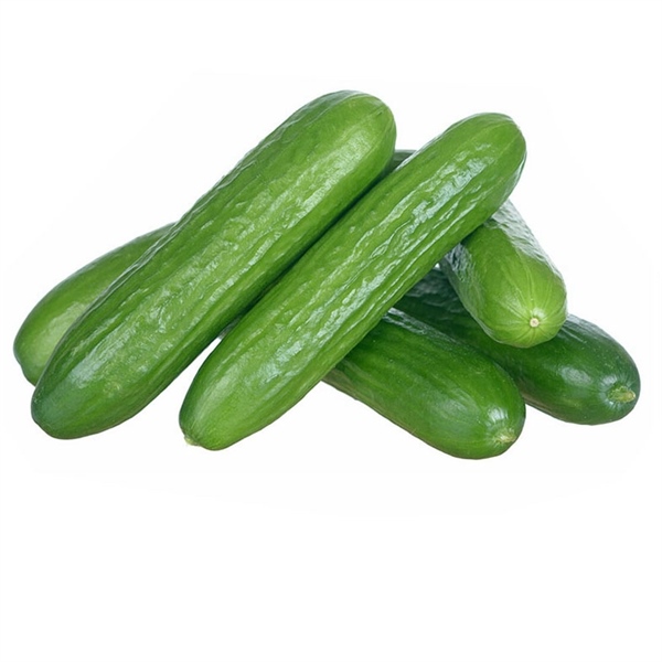 DƯA LEO BABY VỈ 500G