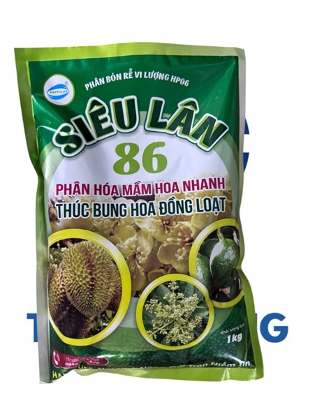 SIÊU LÂN 86
