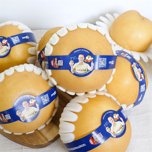 Lê Nâu Hàn Quốc EverGood S30