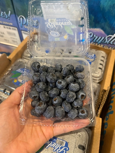 Việt Quất Mộc Châu 125g