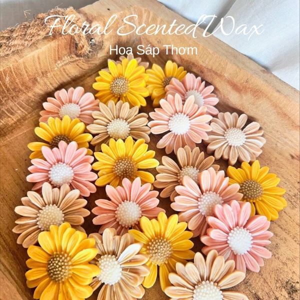Sáp thơm hình hoa cúc