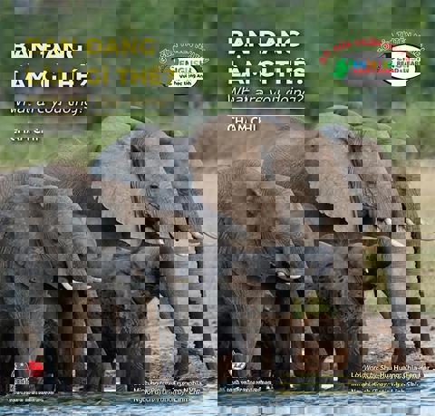 [SÁCH TỐT - GIÁ TỐT] - COMBO 4 CUỐN GÕ CỬA THIÊN NHIÊN (GIẢM 100K CÒN 30K)