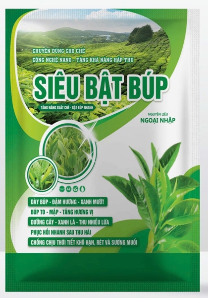 PHÂN BÓN SIÊU BẬT BÚP CHÈ (Búp che to khỏe mập đậm vị thơm hương)