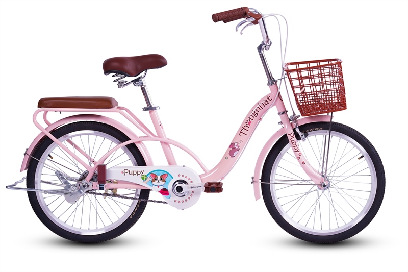 Xe đạp Thống Nhất Puppy 20