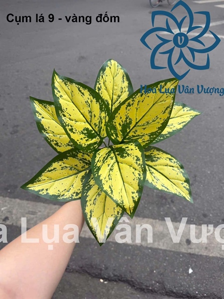 Cụm lá 9 - vàng đốm - Lá cành ngắn - Hoa Lụa Vân Vượng