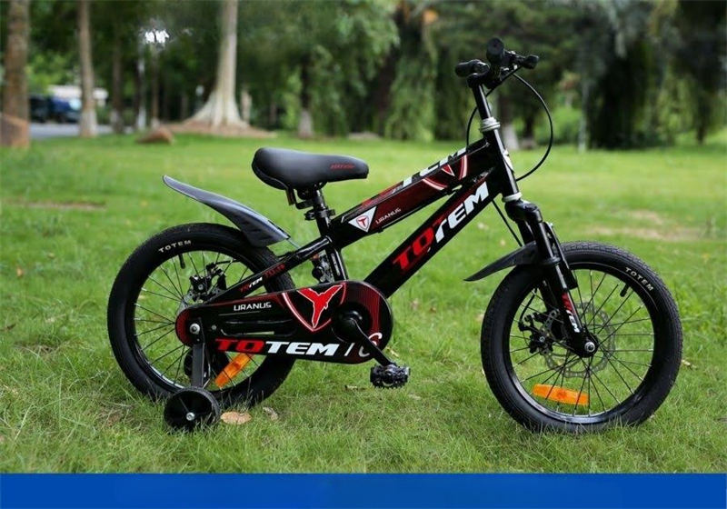 Xe đạp trẻ em 711