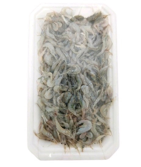 Tép Đông lạnh (Frozen Baby Shrimp)