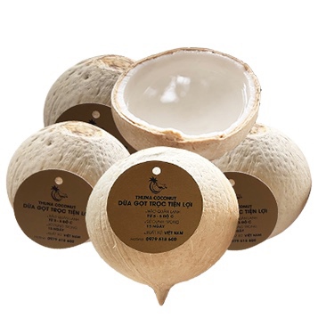 Dừa Xiêm Size L (Trái)