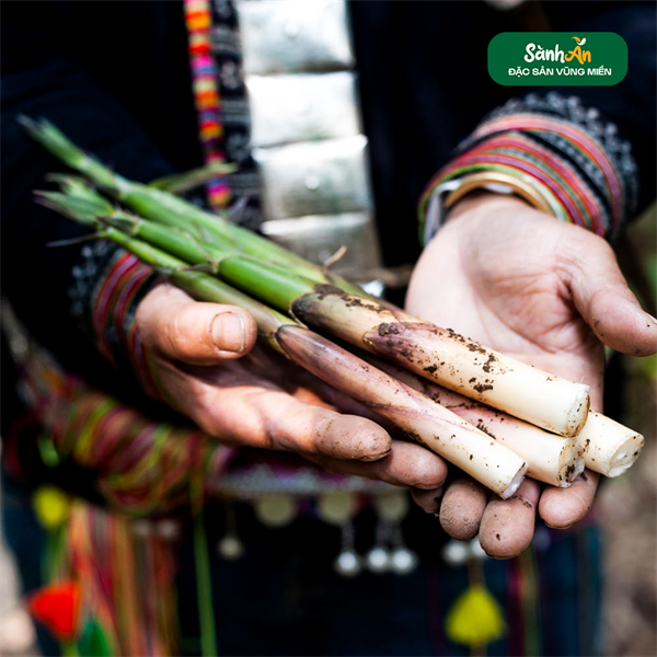 Măng sặt Tây Bắc 500g