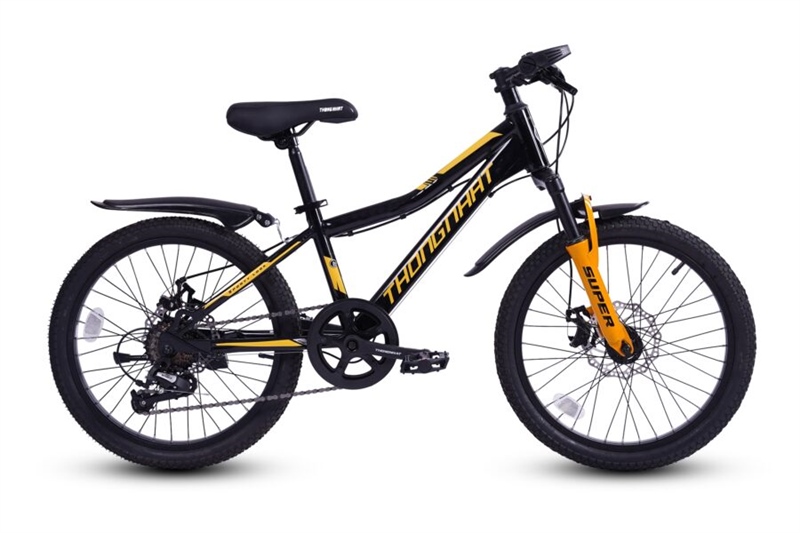 Xe đạp trẻ em Thống Nhất 20"