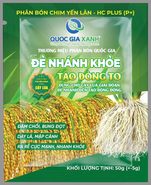 SIÊU NỞ BUI 50G (Ra rễ mạnh, đẻ nhánh khoẻ, Xanh cây, dầy lá, cành to, đọt mập)