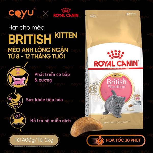 ROYAL CANIN BRITISH KITTEN