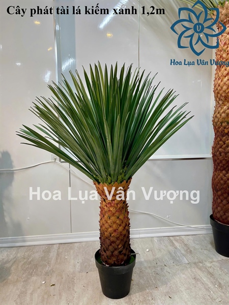 Cây phát tài lá kiếm xanh - Cây - Hoa Lụa Vân Vượng