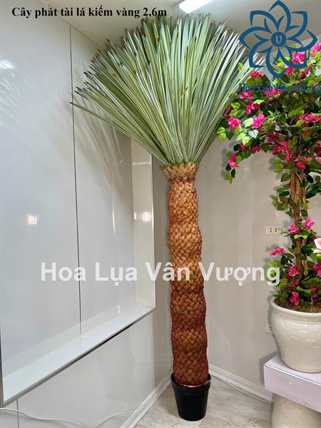 Cây phát tài lá kiếm vàng - 2,6m - Cây - Hoa Lụa Vân Vượng
