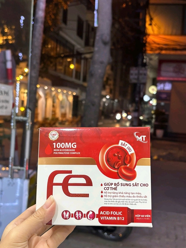 Sắt viên Fe 1000 MT H/6 vỉ x 10 viên