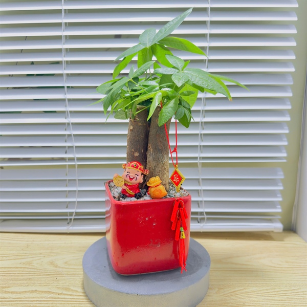 THÀNH PHẨM KIM NGÂN ĐÔNG ĐẦY