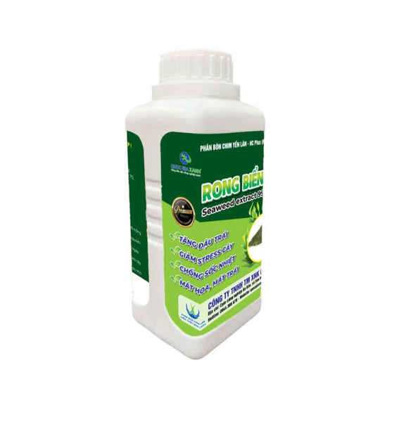 RONG BIỂN 500ML GIẢI NHIỆT, XANH MÁT, CHỐNG SỐC