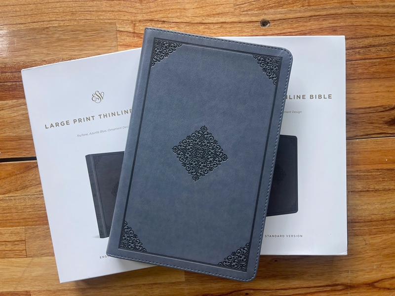 Kinh Thánh Tiếng Anh (ESV)