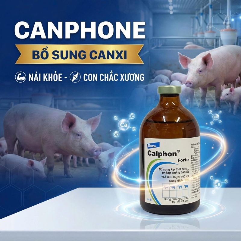 BY Calphone forte 100ml