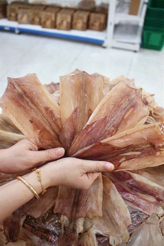 Mực Câu Khô 3 Nắng - size TRUNG