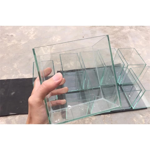 Betta 15x10x15 keo trắng