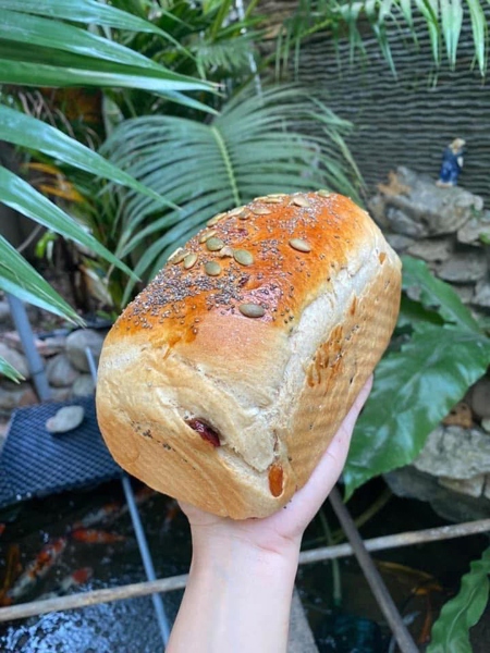 Bánh mỳ nguyên cám hạt ngũ cốc