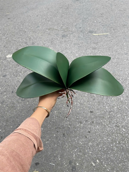 Lá hồ điệp đại - Lá cành ngắn - Hoa Lụa Vân Vượng