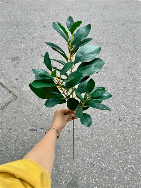 Cành lá chanh - Lá cành dài - Hoa Lụa Vân Vượng