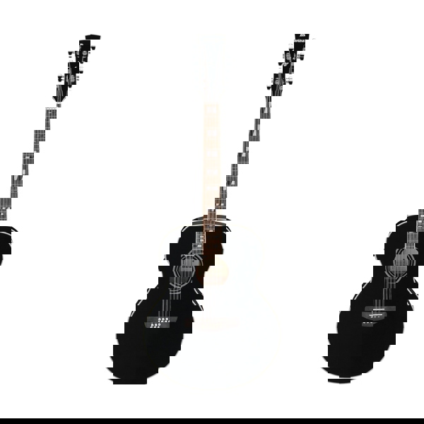 Đàn Guitar Acoustic Ibanez AJ7012M1E 12 String