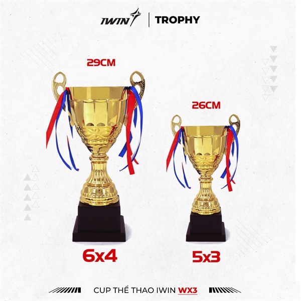 Cup thể thao iWin WX3 - 26cm