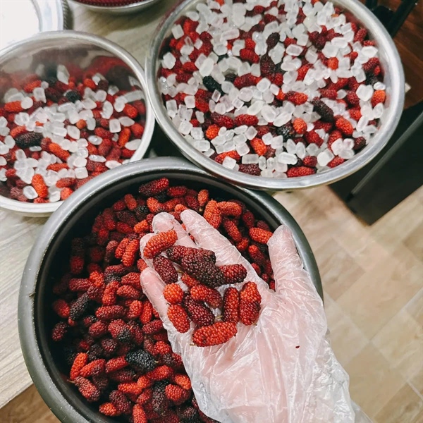 Cốt dâu tằm cổ Sơn La