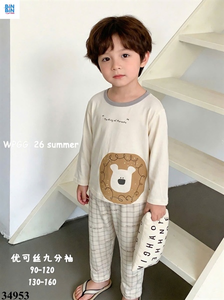34953-Bộ tencel TD sư tử