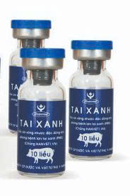 TAI XANH 10 liều